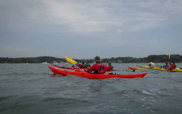 people in red and yellow kayaks paddle toward a green shoreline on an outward bound trip for adults in maine